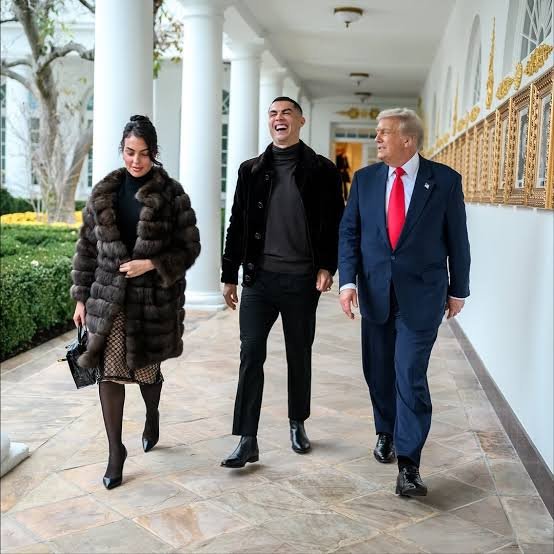 Georgina Rodríguez Inspired Chocolate Brown Mink Fur Coat